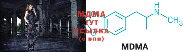 сатива Новодвинск