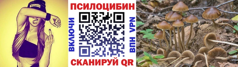 mega ссылки  Рыльск  Галлюциногенные грибы Psilocybine cubensis 